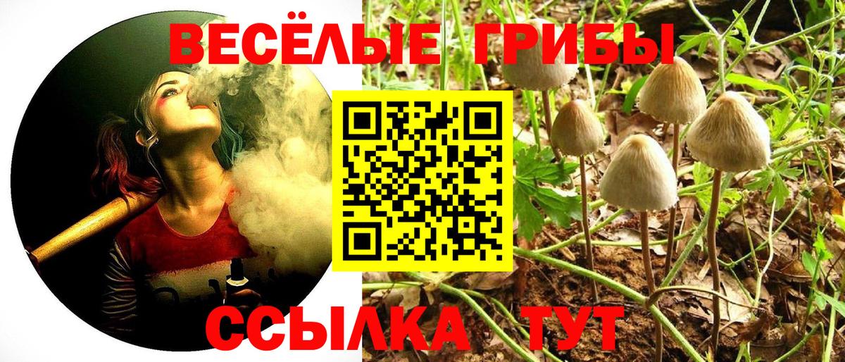 Псилоцибиновые грибы GOLDEN TEACHER Астрахань