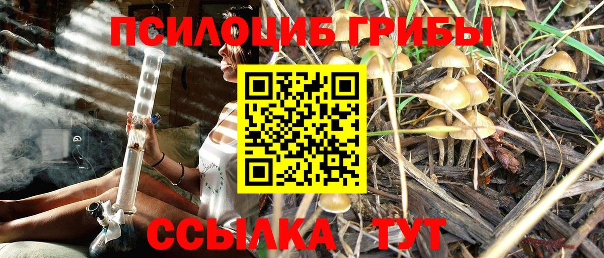 Галлюциногенные грибы Magic Shrooms  Вход с VPN  Астрахань  Псилоцибиновые грибы GOLDEN TEACHER 
