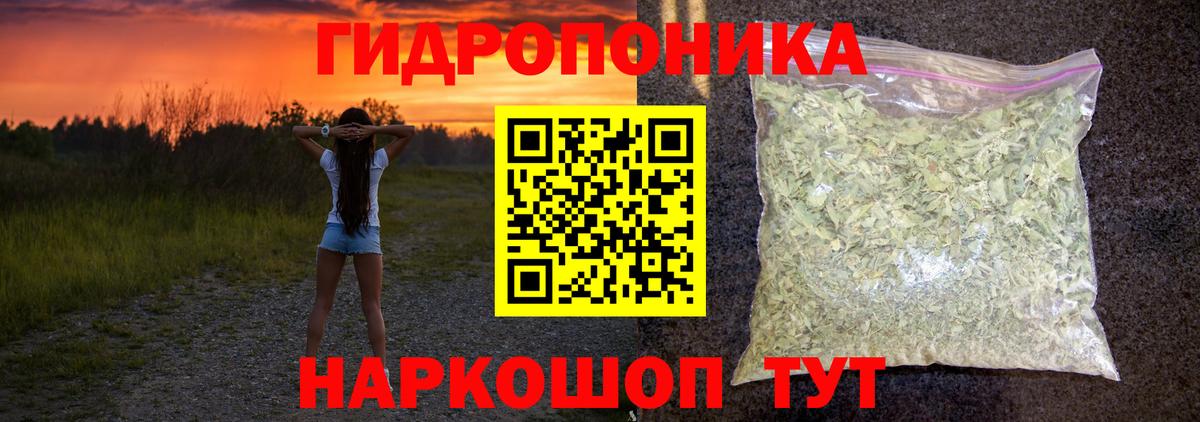Шишки марихуана планчик  Каннабис THC 21%  Вход с VPN  Астрахань  Каннабис Amnesia  Бошки марихуана VHQ 